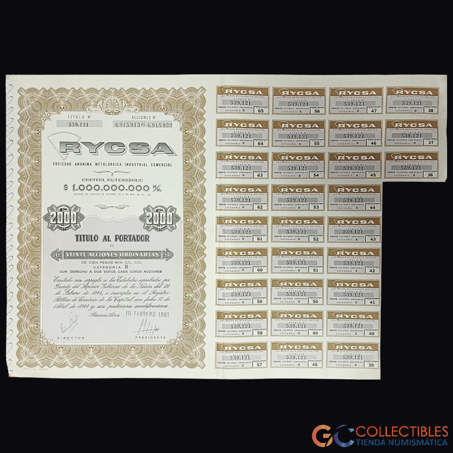 Lote 1097 - América del Sur/Argentina - Acción RYCSA S.A. – Categoría B – 1961