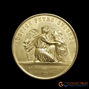 Lote 2003 - Academia Nacional de la Historia en el Centenario del Instituto Histórico y Geográfico Brasilero  1838 - 1938  A Pedro II