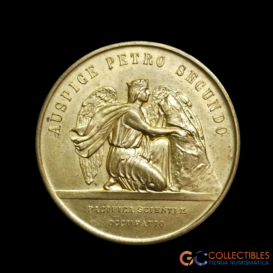 Lote 2003 - Academia Nacional de la Historia en el Centenario del Instituto Histórico y Geográfico Brasilero  1838 - 1938  A Pedro II