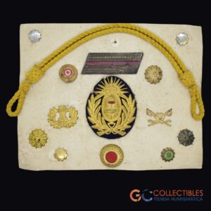 Lote 1011 - Argentina - Conjunto de insignias militares y policiales